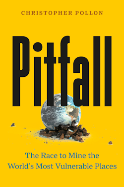 Image of Pitfall book cover