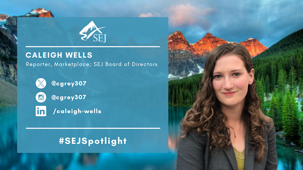 #SEJSpotlight graphic for Caleigh Wells