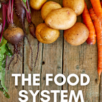 Food System topic graphic